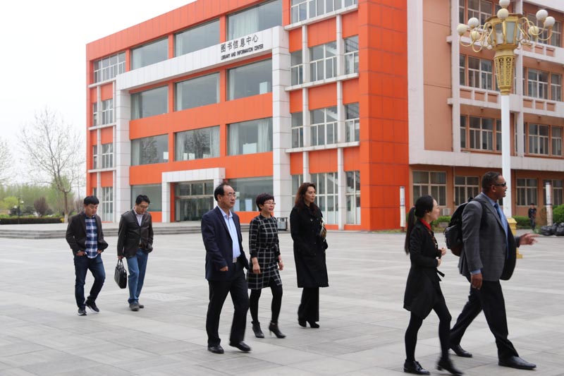 ����������ŵ�ȹ���ѧ����������