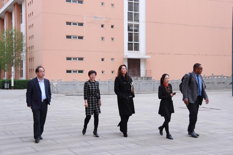 ����������ŵ�ȹ���ѧ����������