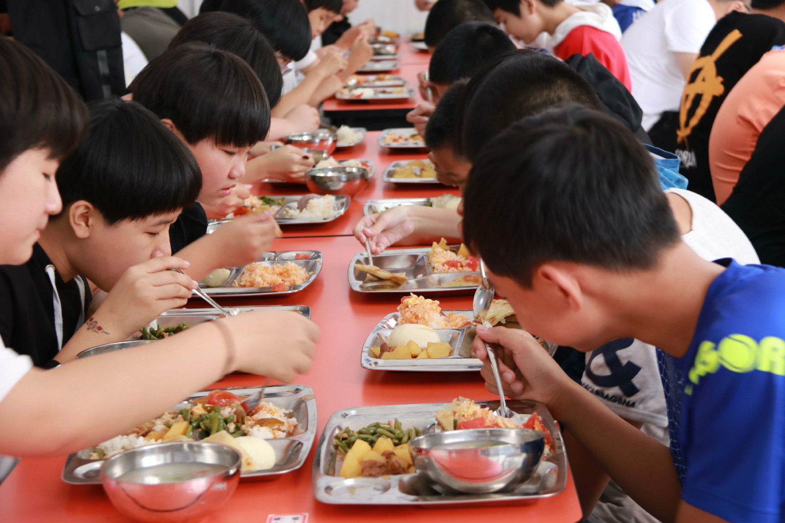 2018���������ʵ�����Ӫ