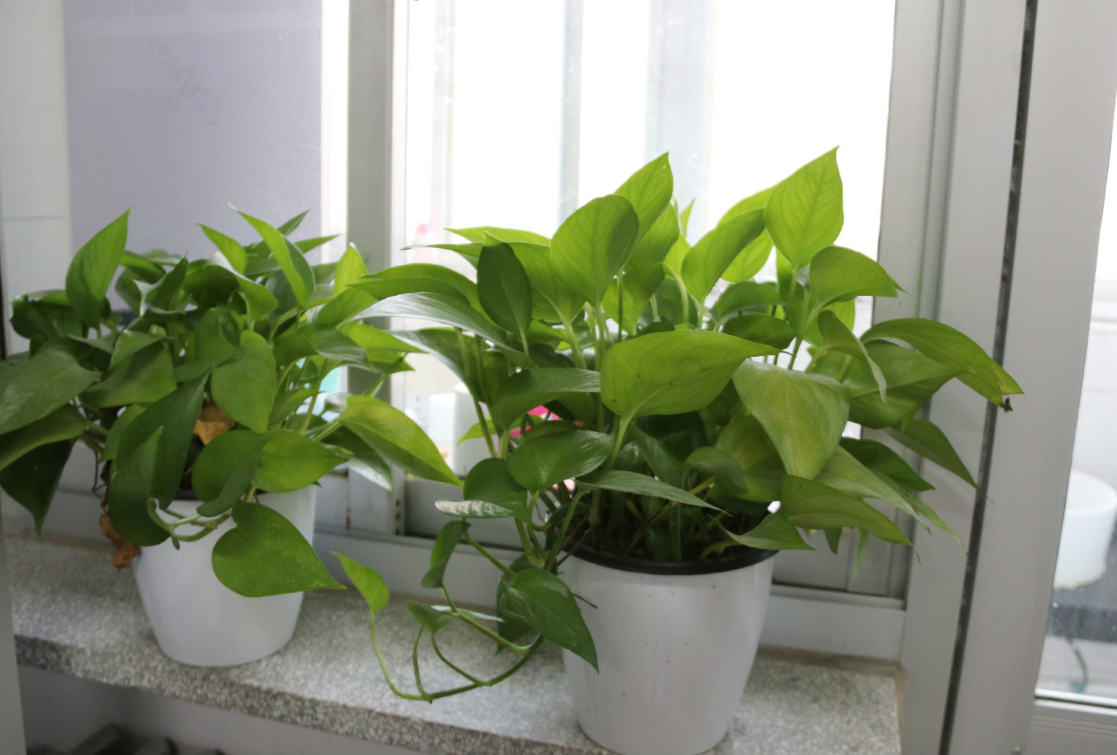 ��ܰ���ᣬ��ů������